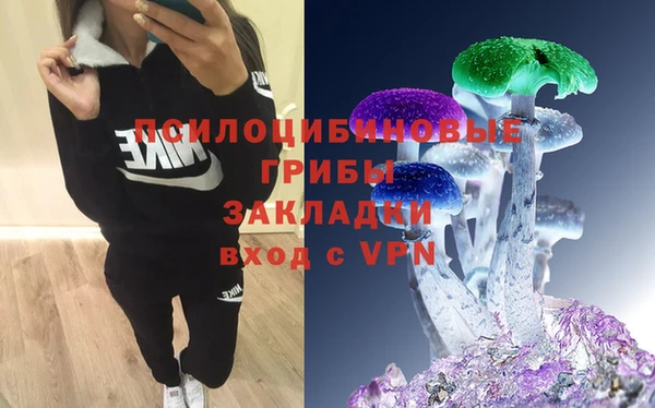 первитин Нея